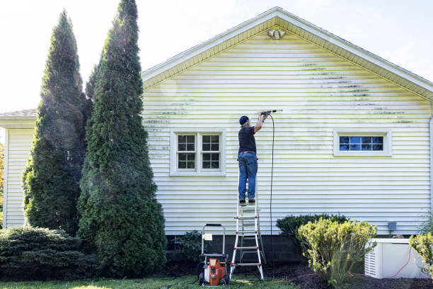 Animal Enclosure Cleaning in Rochester, PA